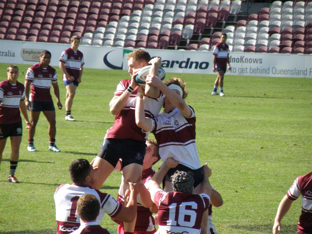 P6230439 (Large).JPG