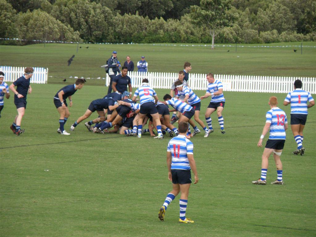 P7200512 (Large).JPG
