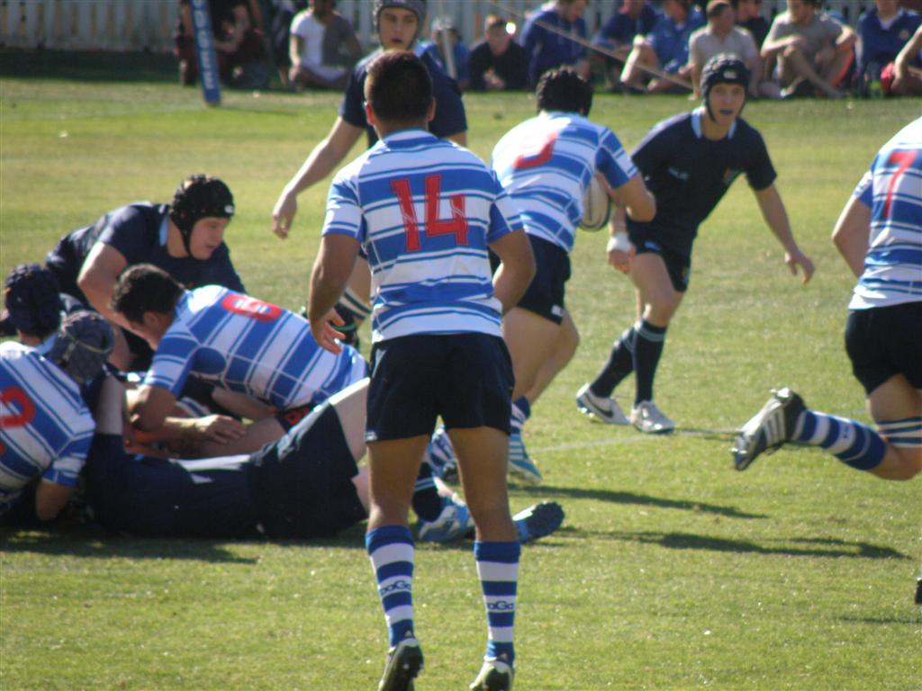 P8020855 (Large).JPG