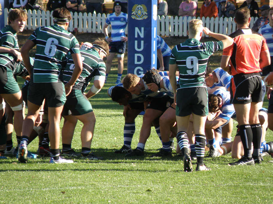 P8190230.jpg