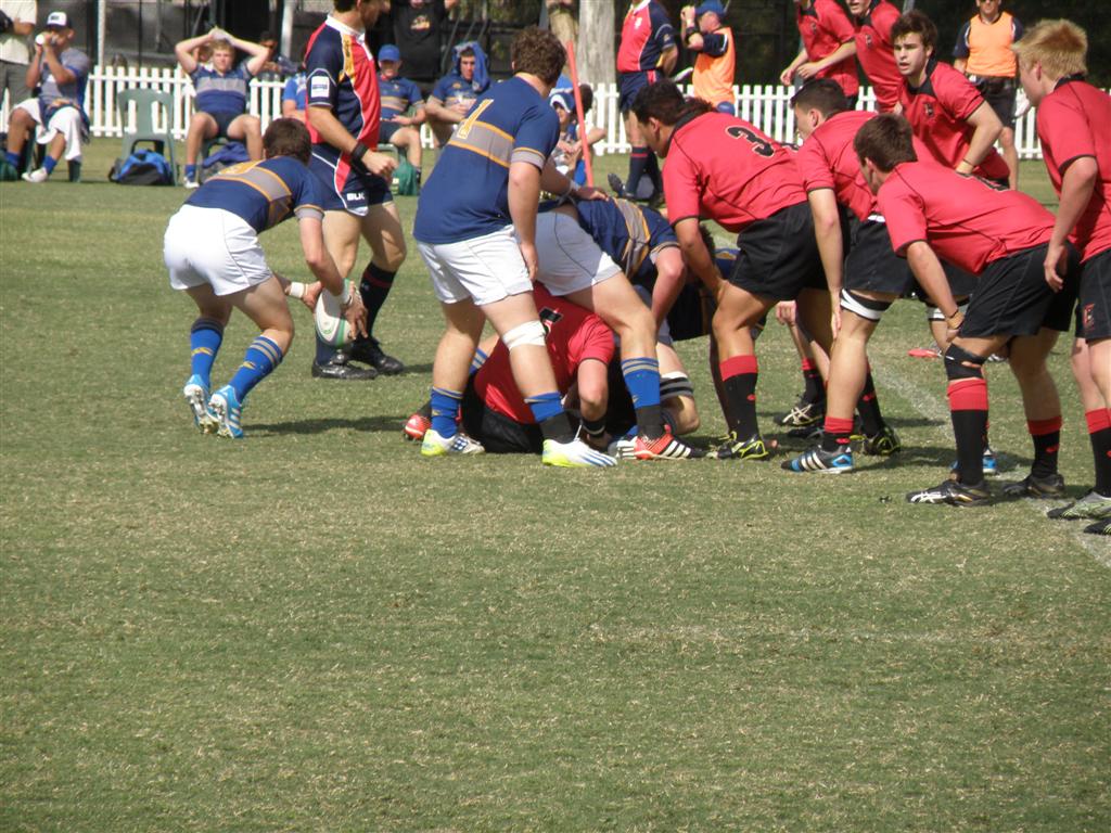 P9201003 (Large).JPG