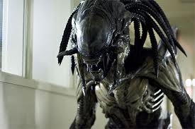 predator.jpg