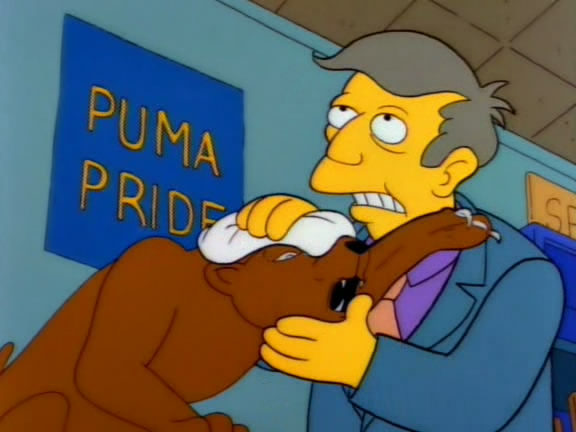 Puma.jpg