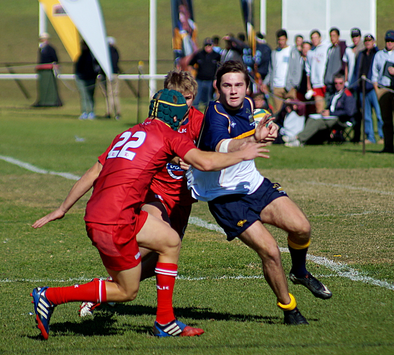 Qld1-ACT-1-small.JPG
