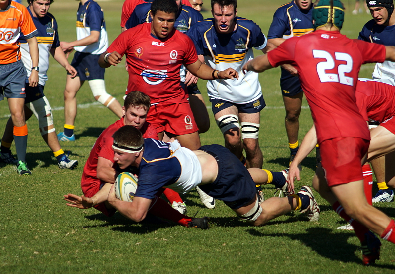 Qld1-ACT-2-small.JPG