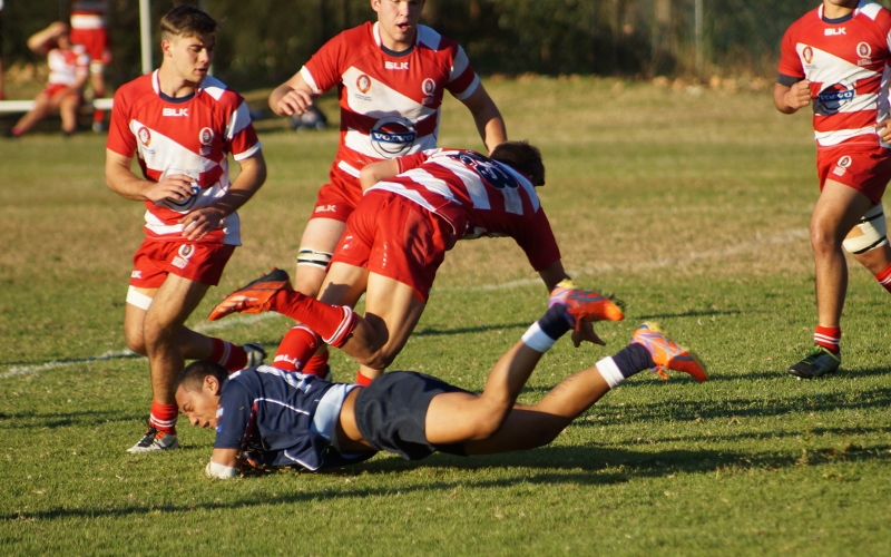Qld2-Vic-1-small.JPG