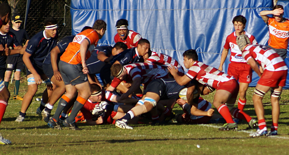 Qld2-Vic-2-small.JPG