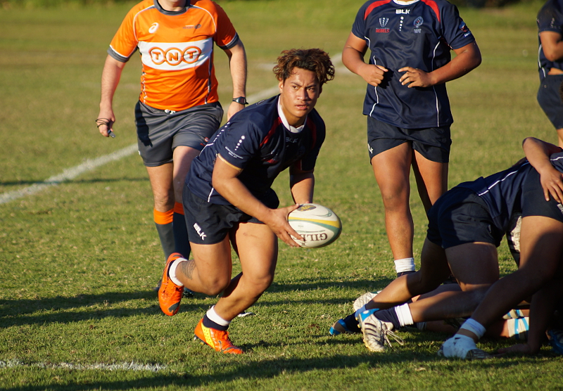 Qld2-Vic-3-small.JPG