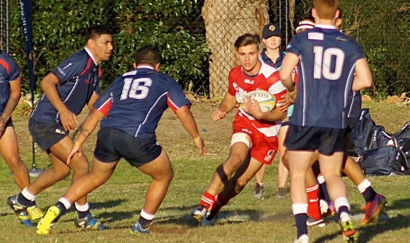 Qld2-Vic-4-small.JPG