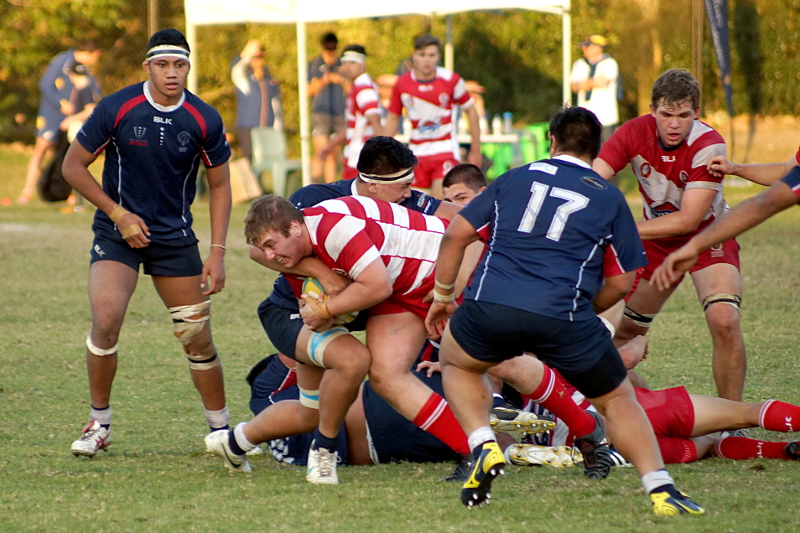 Qld2-Vic-5-small.JPG