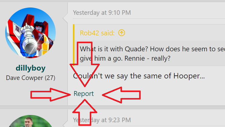report.png