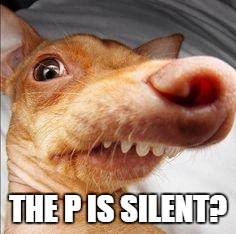 silent p.jpg