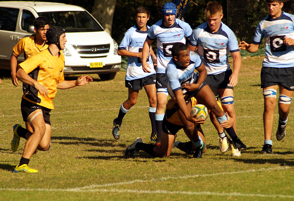 Small-DSC03718.JPG