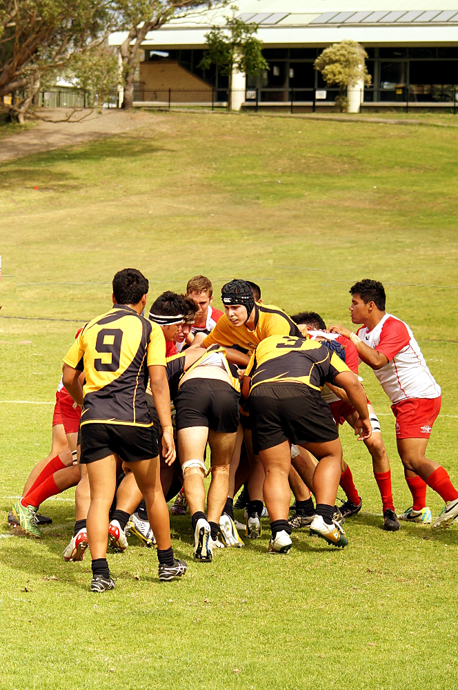 Small-DSC03847.JPG
