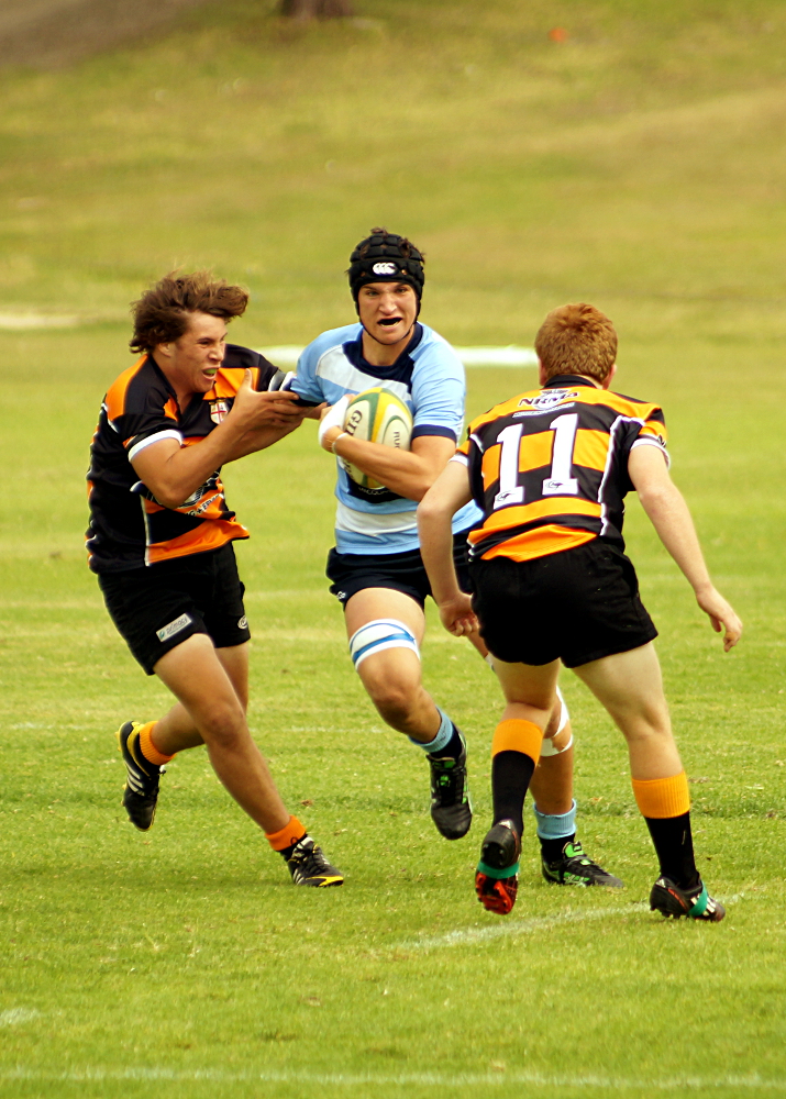 Small-DSC04233(1).JPG