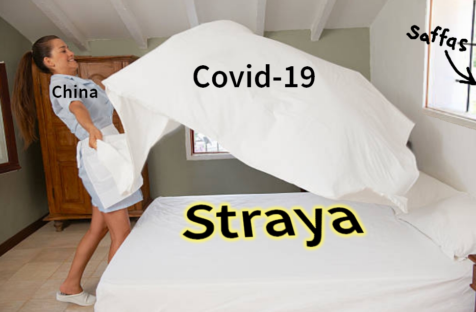 spreadsheet.jpg