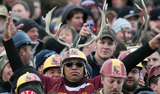 Stags.JPG