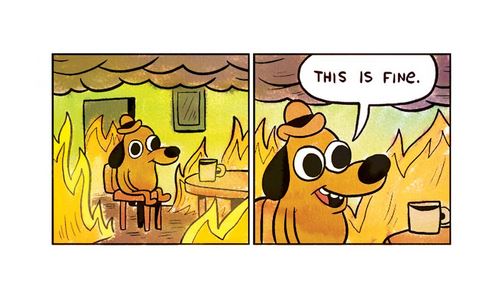 This is fine.JPG