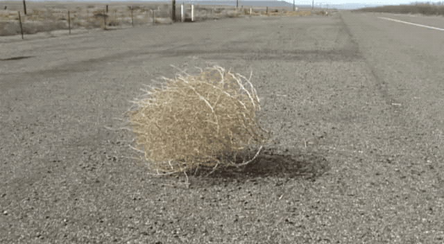 tumbleweed-522952958.gif