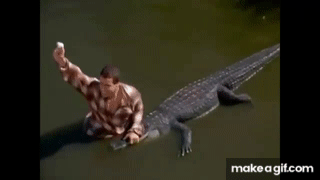 uGdfWy.gif