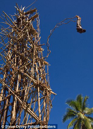 vine diving.jpg