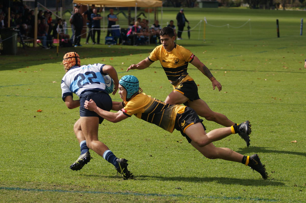 WA-NSW18-1.JPG