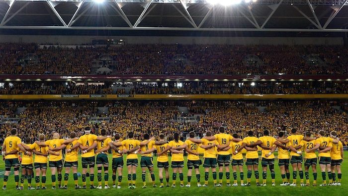 Wallabies_hit_town.jpg