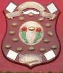 Waratah Shield.jpg