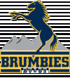 163261-brumbies-australia-rugby-clubs-logo-sports.gif