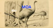 download-1.jpeg