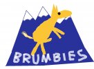 brumbies.jpg