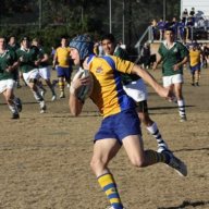 Aloysrugby