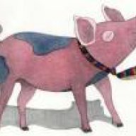 Proud Pig