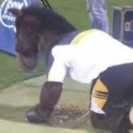 BRUMBIEJACK