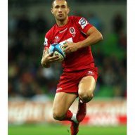 Steve Hawkins Rugby