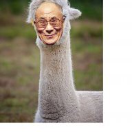 Larry David