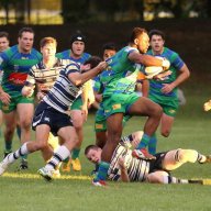 Jordan Webster