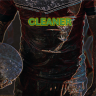 The Cleaner