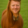 Garrick Horseman