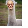 Larry David