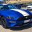 BlueSenator