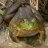 Bullfrog