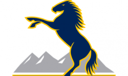 Brumbies logo banner