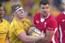 pocock and phillips wales wallabies