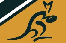 wallabies wallpaper