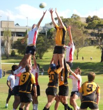 Qld Whites v WA