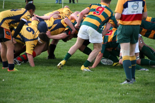 Tasmania's Ed Salter feeds the scrum during a match against Lake Macquarie Rugby Club in 2012