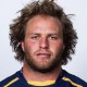 dan palmer brumbies