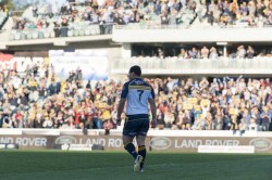 george smith walks off brumbies