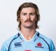 2013 NSW Waratahs Headshots